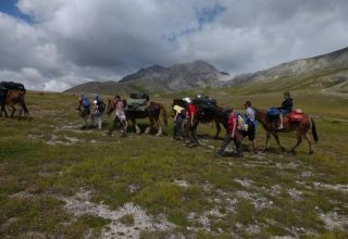 Trekking con i muli
